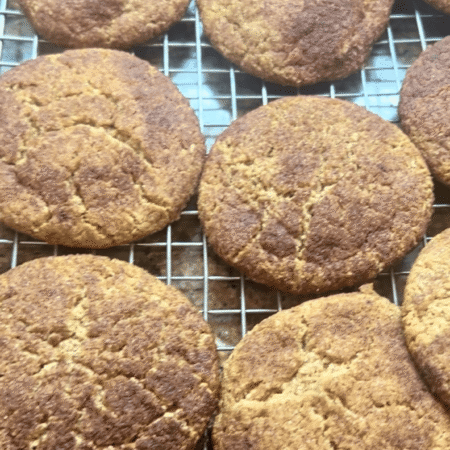 Doodlez — Snickerdoodles/Dozen